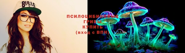 МДПВ Богородицк