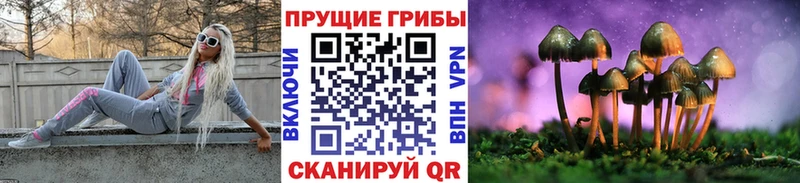 закладка  Калязин  Галлюциногенные грибы MAGIC MUSHROOMS 